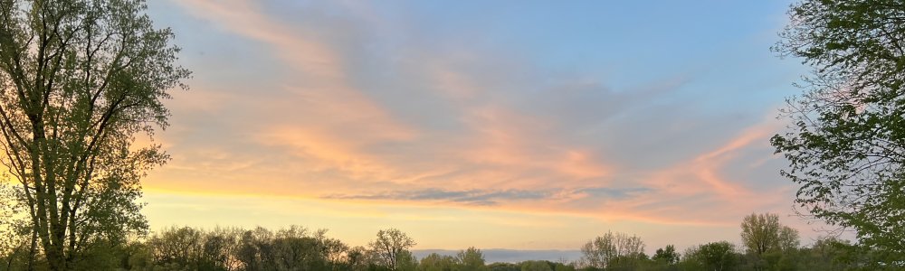 User banner image