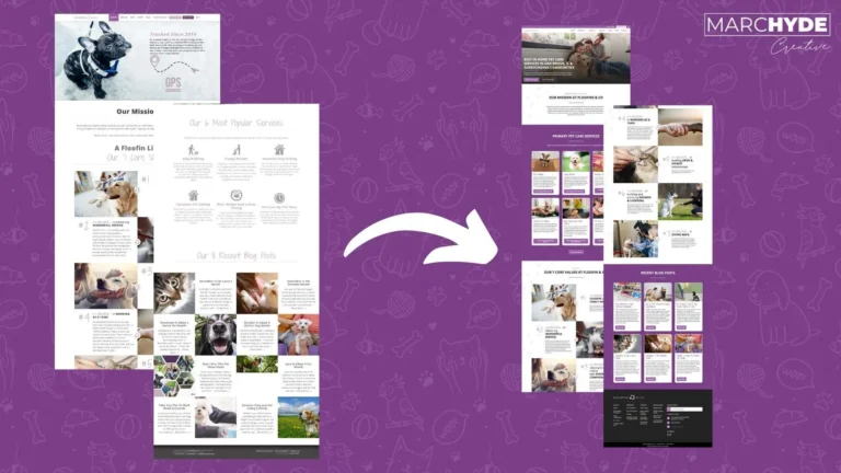 Floofins and Co Wordpress Website Refresh 2.jpg 2 768x432