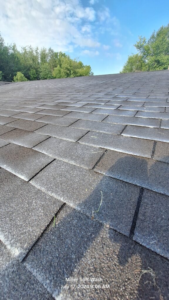 Michiana Online Directory roof rejuvenation